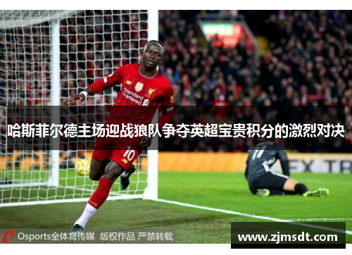 哈斯菲尔德主场迎战狼队争夺英超宝贵积分的激烈对决