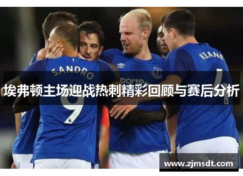 埃弗顿主场迎战热刺精彩回顾与赛后分析