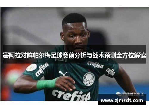 塞阿拉对阵帕尔梅足球赛前分析与战术预测全方位解读