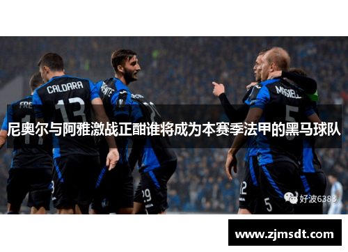 尼奥尔与阿雅激战正酣谁将成为本赛季法甲的黑马球队
