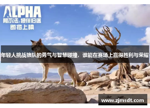 年轻人挑战狼队的勇气与智慧碰撞，谁能在赛场上赢得胜利与荣耀