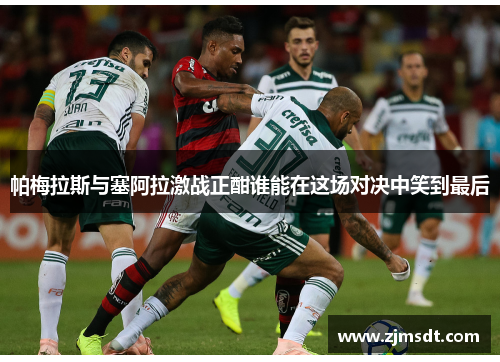 帕梅拉斯与塞阿拉激战正酣谁能在这场对决中笑到最后