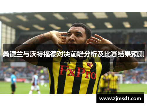 桑德兰与沃特福德对决前瞻分析及比赛结果预测